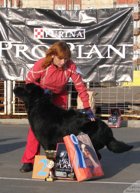 Фотография № 18106