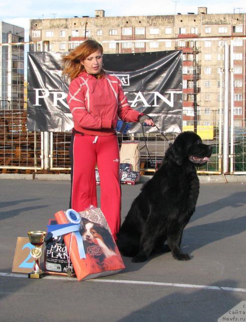 Фотография № 18109