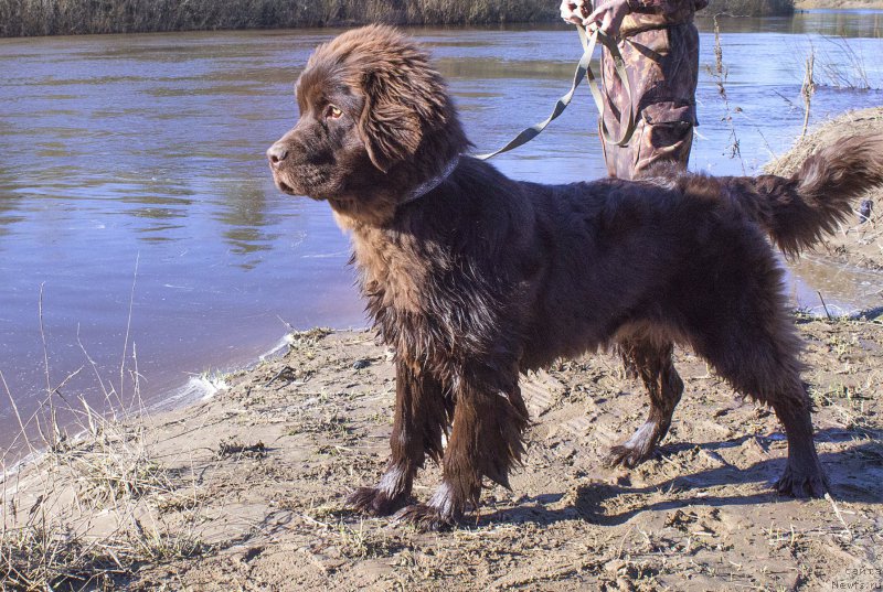 Фотография № 181093