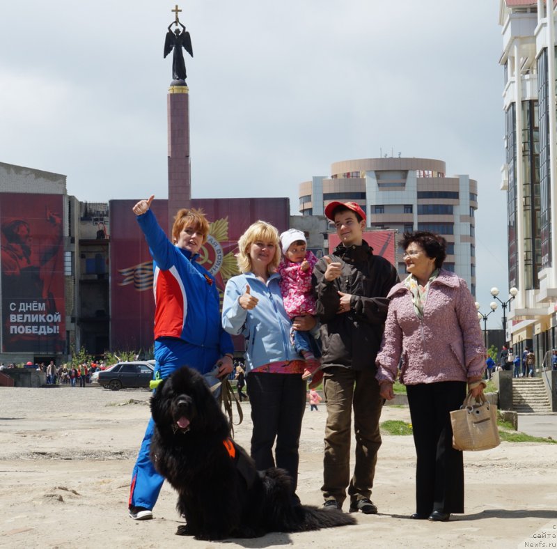 Фото: ньюфаундленд Charuyuschiy Chezario (Чарующий Чезарио), Elena Kirpa (Елена Кирпа)