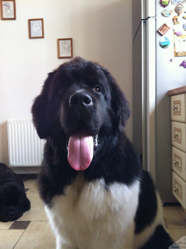 Фотография № 181124