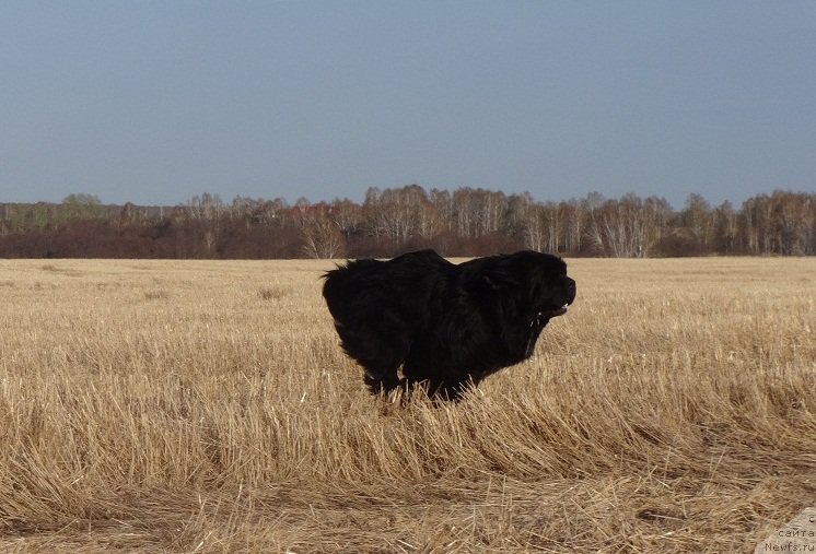 Фотография № 181161