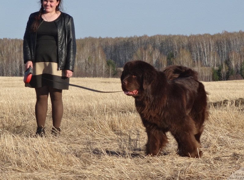 Фотография № 181163