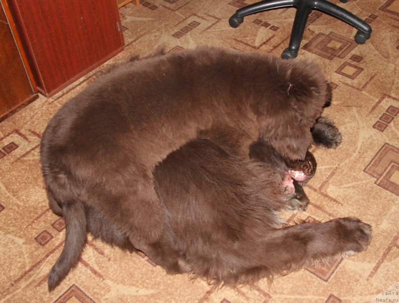 Фотография № 181164