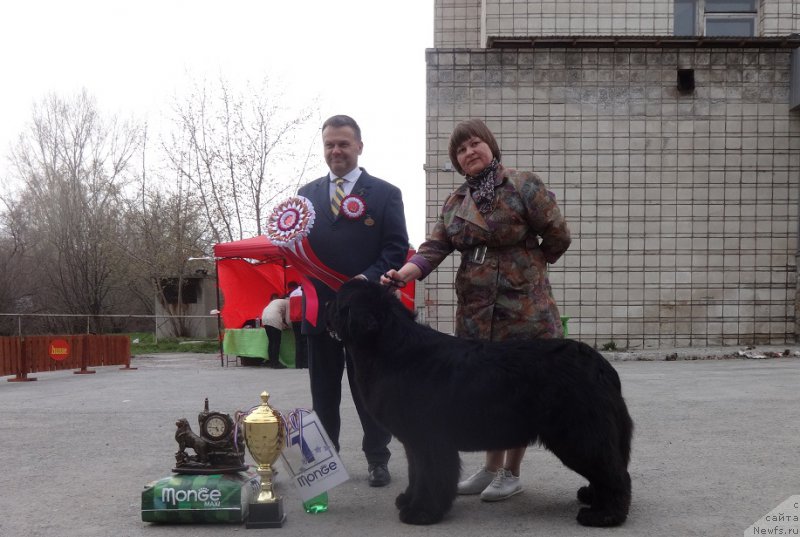 Фотография № 181169