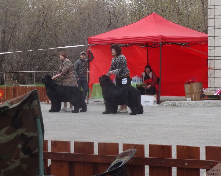 Фотография № 181171