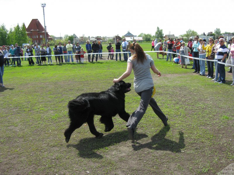 Фотография № 181175