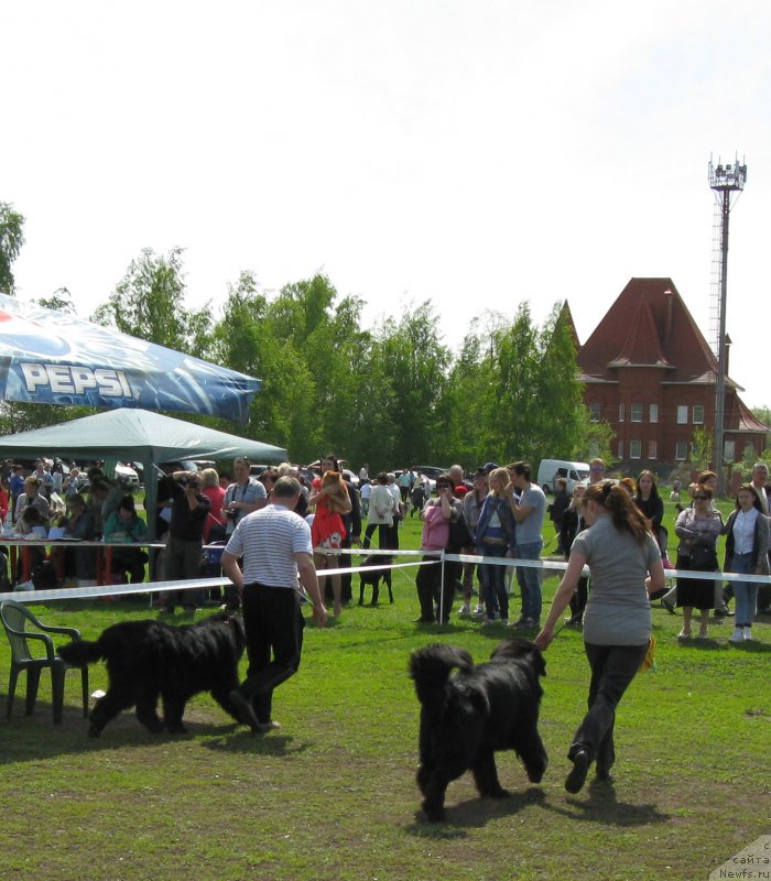 Фотография № 181176