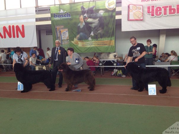 Фотография № 181185