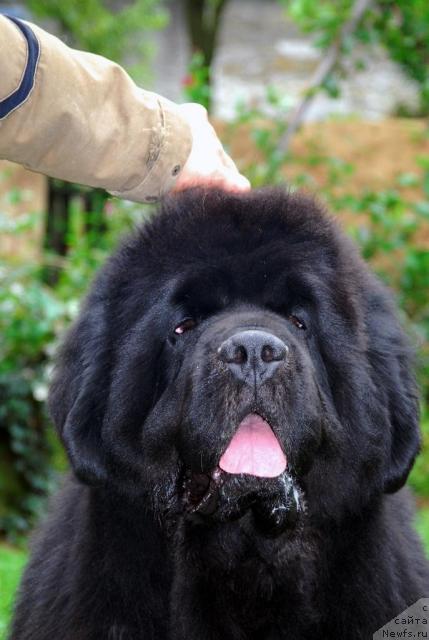 Фотография № 18125