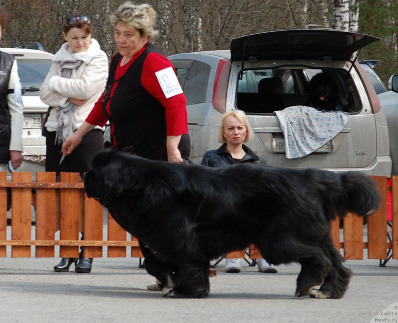 Фотография № 181250