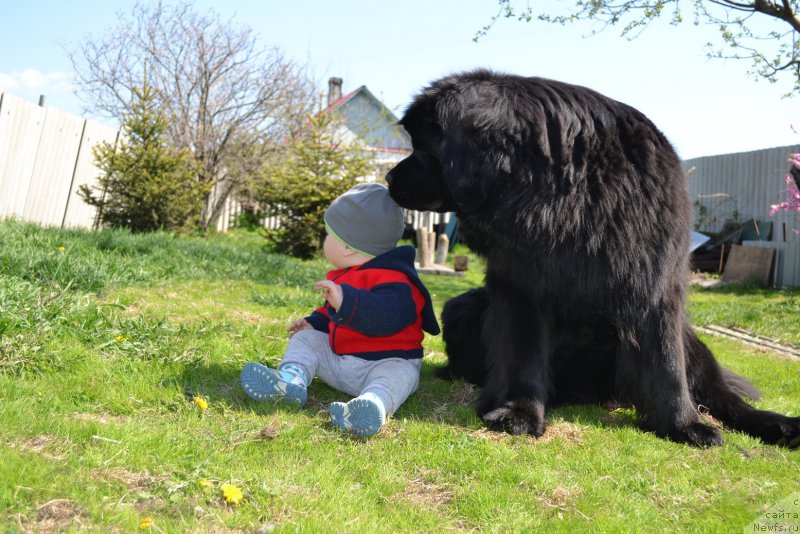 Фотография № 181253