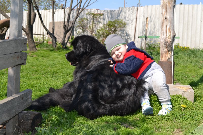 Фотография № 181254