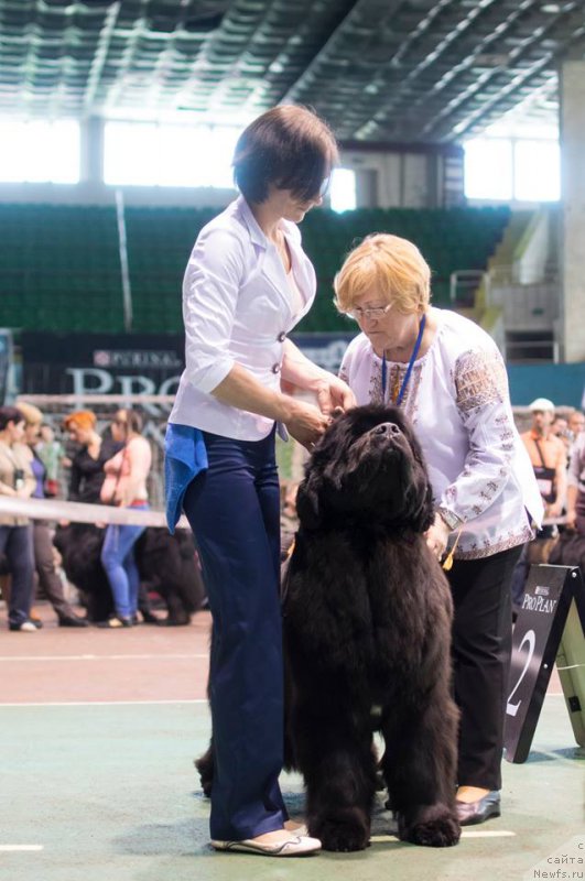 Фотография № 181343