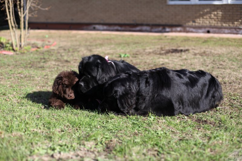 Фотография № 181346