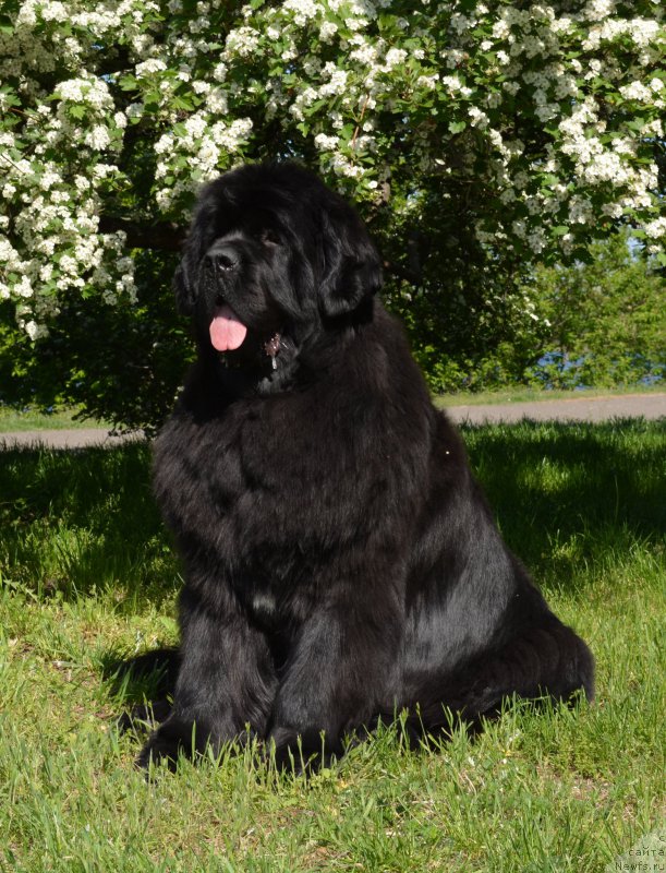 Фотография № 181347