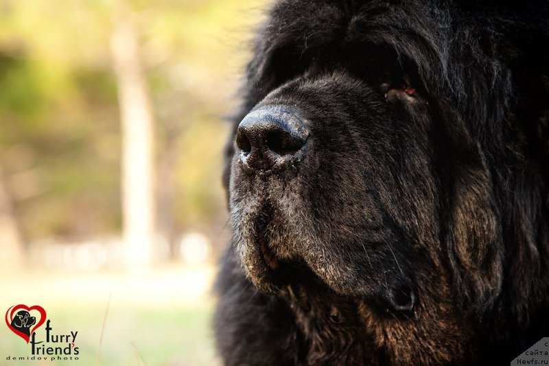 Фотография № 181348