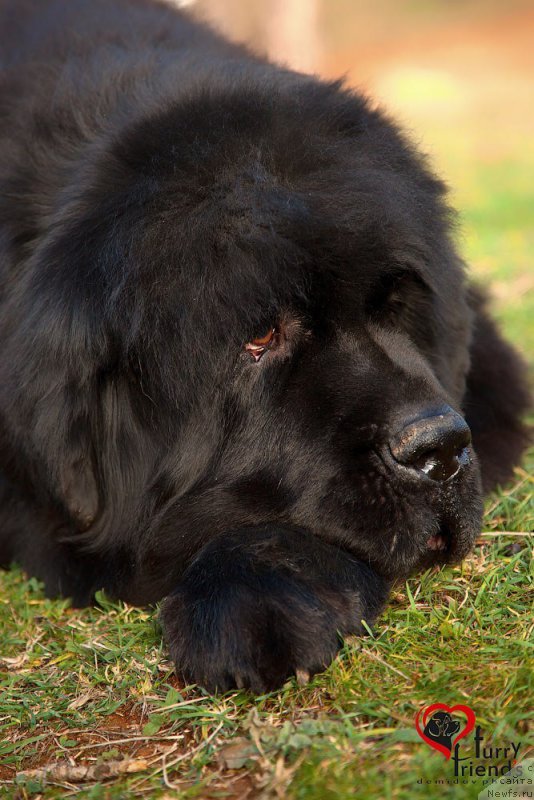 Фотография № 181349