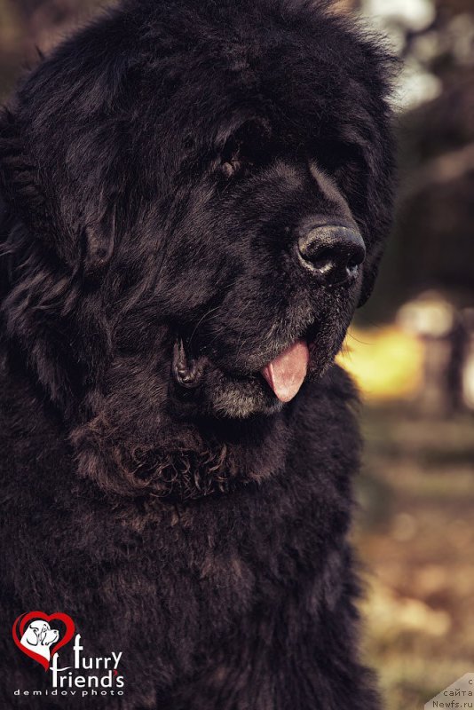 Фотография № 181350