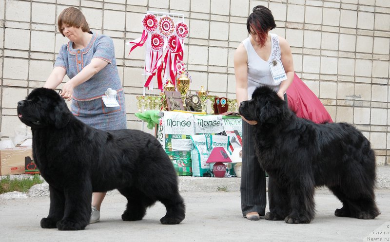 Фотография № 181353