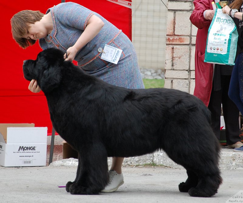 Фотография № 181354