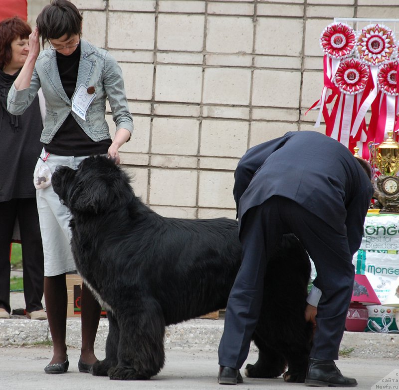 Фотография № 181367