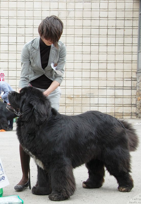 Фотография № 181368