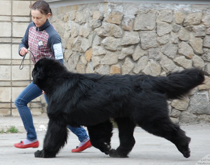 Фотография № 181370