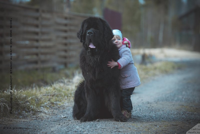 Фотография № 181373