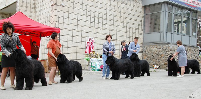 Фотография № 181375