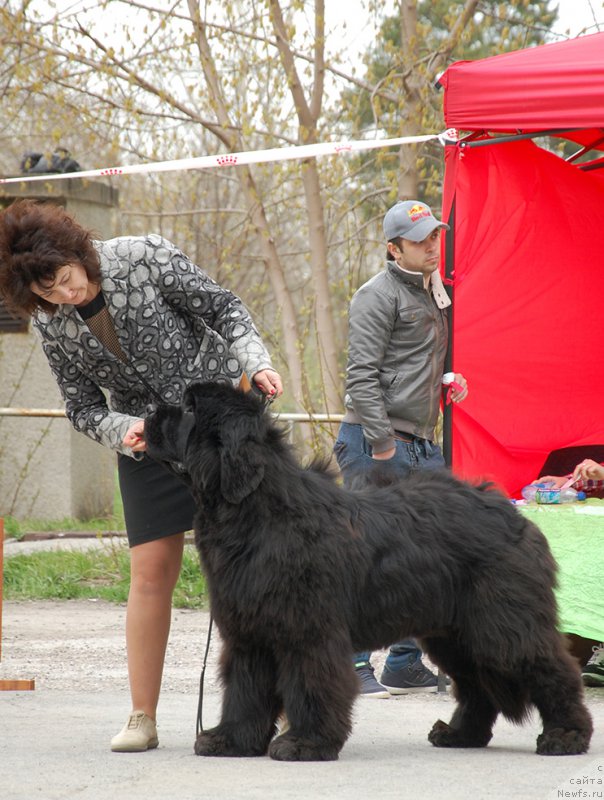 Фотография № 181376