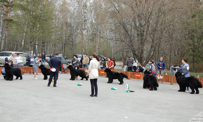 Фотография № 181379