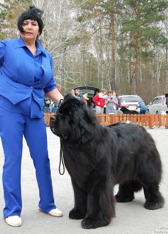 Фотография № 181387