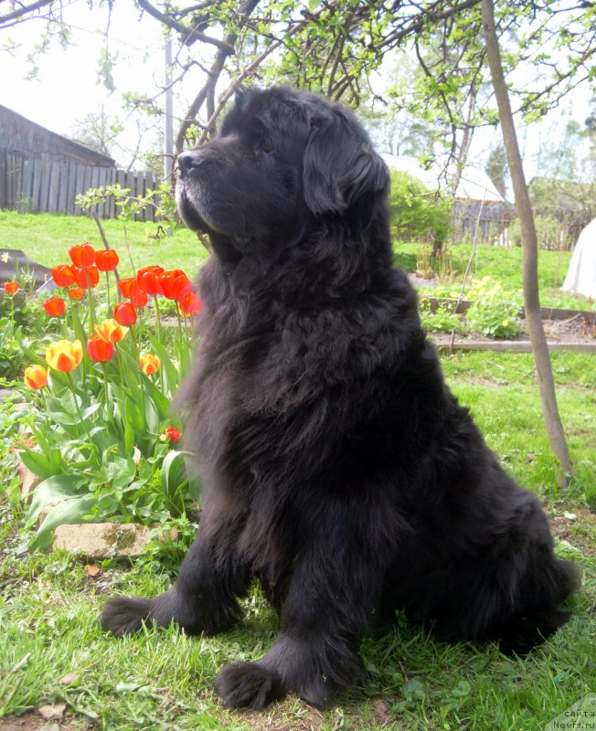 Фотография № 181395