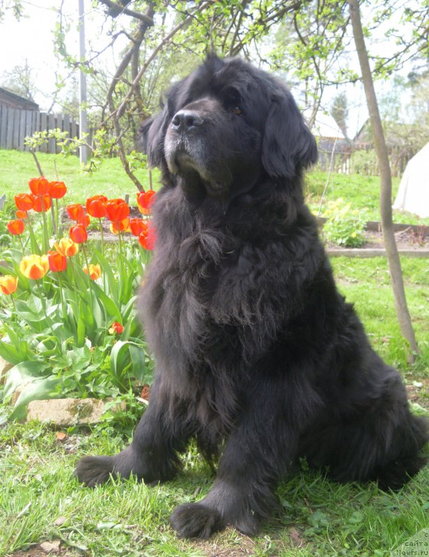 Фотография № 181396