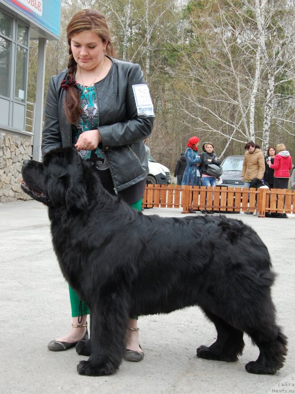 Фотография № 181398