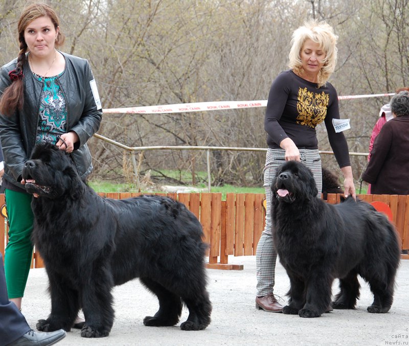 Фотография № 181402