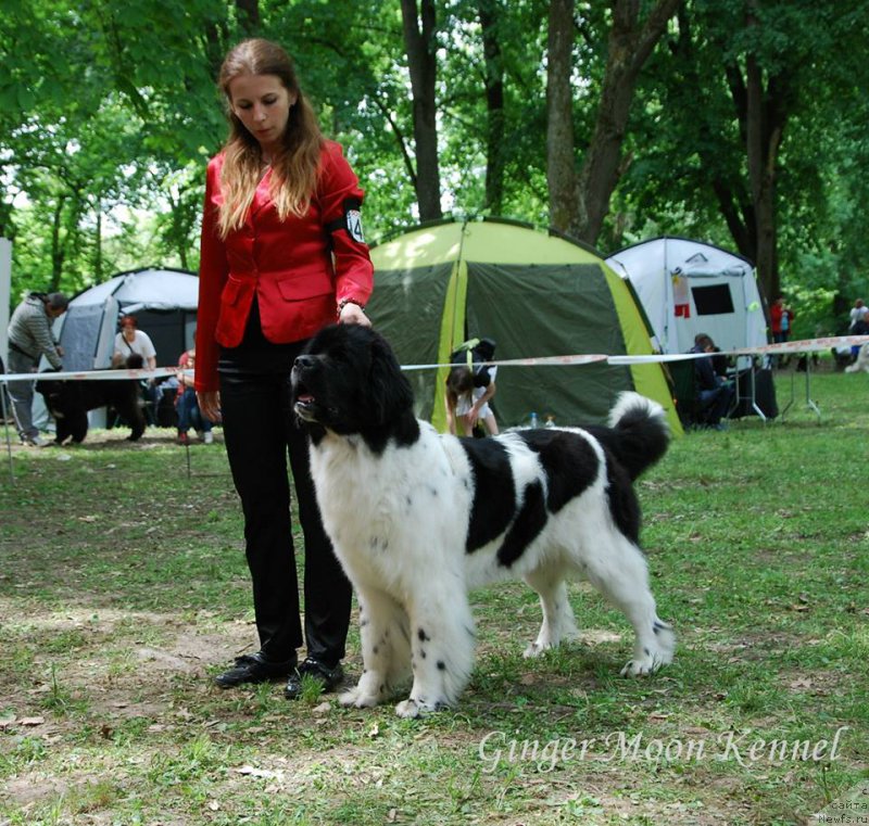 Фотография № 181418