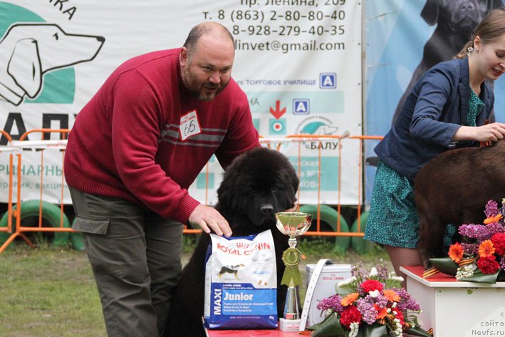 Фотография № 181420