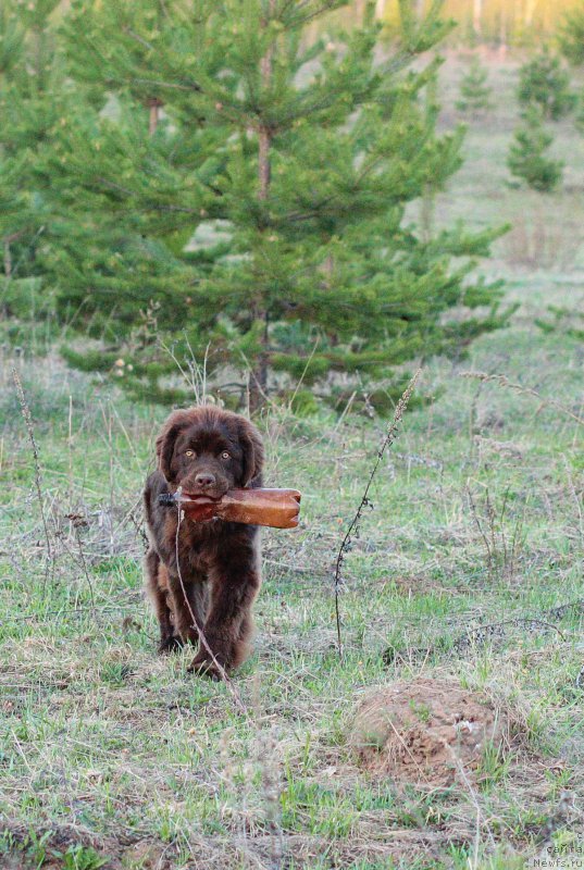 Фотография № 181446