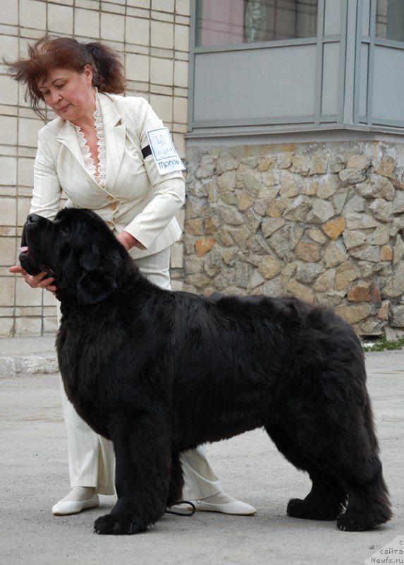 Фотография № 181452