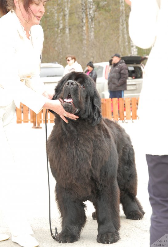 Фотография № 181453