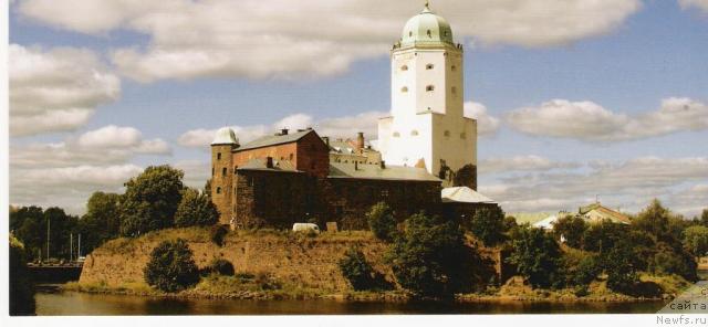 Фотография № 18148