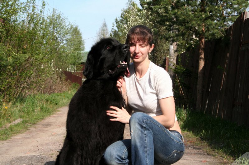 Фотография № 181484