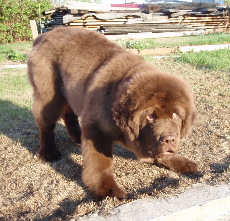 Фотография № 181508