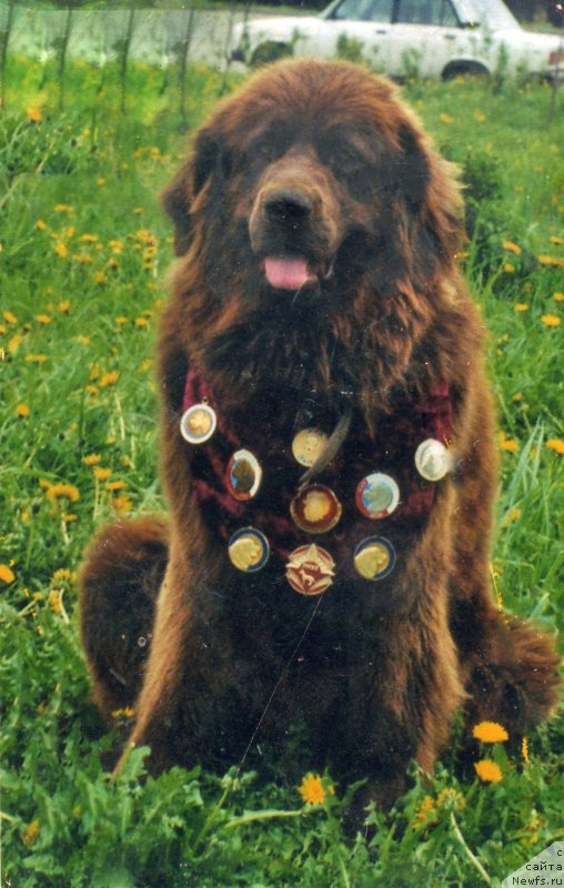 Фотография № 181529