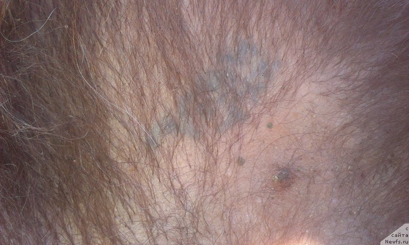 Фото: Natal'ya Smazchikova (Наталья Смазчикова)