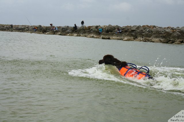 Фотография № 181535