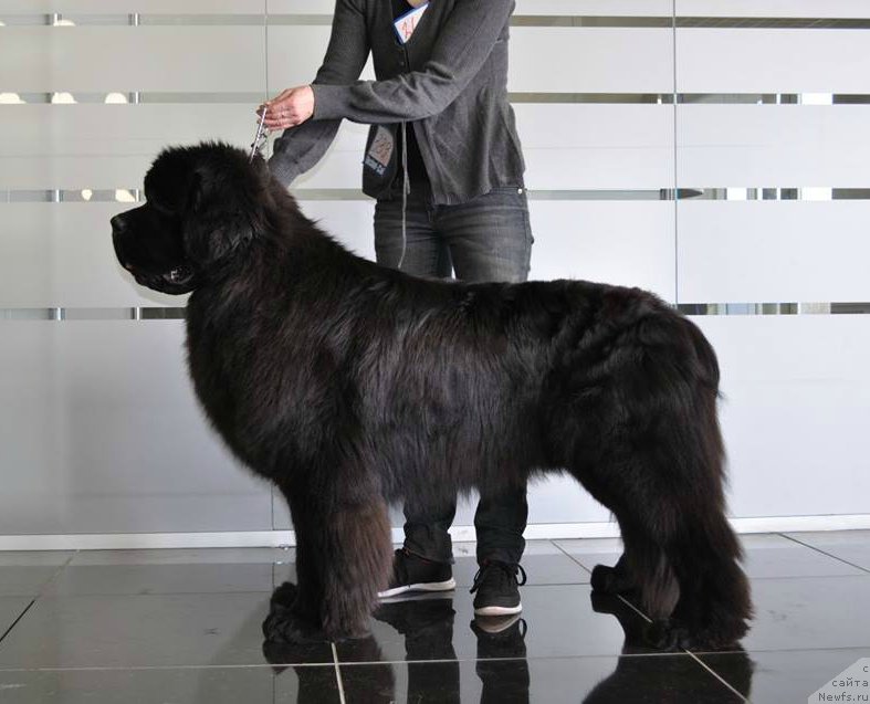 Фотография № 181538