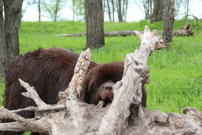 Фотография № 181549